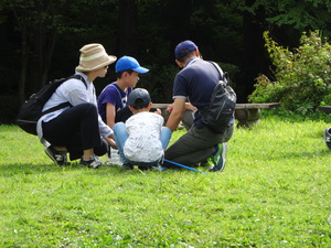 4野原で虫さがし.JPG